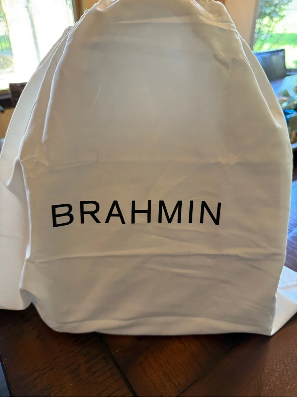 Brahmin iridescent croc